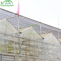 Grande serre agricole multi-chapelles en verre avec système d'ombrage intérieur et extérieur pour légumes/fleurs/fruits