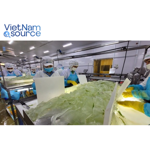 La mejor oferta de hojas de aloe vera cultivadas naturalmente con alto contenido de vitaminas para máscaras de bricolaje seleccionadas a mano de Vietnam Source - Product Image 6