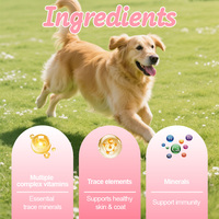 Comprimés de suppléments de vitamines et d'oligo-éléments chélatés pour la santé des animaux de compagnie, à absorption rapide, pour chiens et chats - Prix de gros