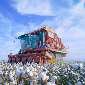 Baumwollkolben-Teile Spindel für JD Baumwollerntemaschine - Product Image 4