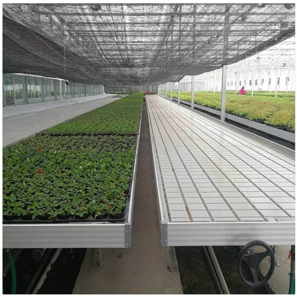 Motorized Indoor Seedbed Hydroponic Vertical Multi-layer Planting Rack ...