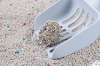 Litière pour chat en bentonite de sodium écologique de qualité supérieure, forme de boule, sans poussière, agglomération rapide, contrôle des odeurs, hautement absorbante, 1 kg, OEM