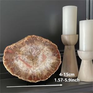 500-700g pierres brutes polies naturelles spécimen de dalle de bois fossilisé tranche de bois pétrifié pour la décoration - Product Image 6