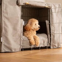 Couverture de caisse de chien de style moderne et écologique pour les petites races Caisses en métal de confidentialité à motif solide Plateau en plastique Cages pour animaux de compagnie Maisons