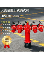 Hydrant d'incendie hors sol à haut débit DN200-DN250, options de personnalisation directes usine, Chine continentale, pour la lutte contre l'incendie et les tuyaux de pompier
