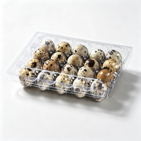 Boîte d'emballage jetable en plastique PET transparent pour œufs de caille, plateau en plastique transparent à 6, 8, 10, 12, 15, 18, 20, 24, 30 alvéoles pour œufs de caille géants