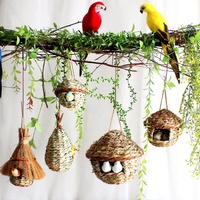 Suikerzweefvliegtuig Kokosnootschelp Vogelschuilplaats Nest Papegaai Nest Kokosnoot Kweekhuis Met Ladderspeelgoed