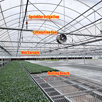 Serre agricole intelligente multi-chapelles grande taille en polycarbonate avec filet d'ombrage et bancs roulants