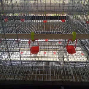 鳥を育てるための中国工場販売ブロイラーひなケージ