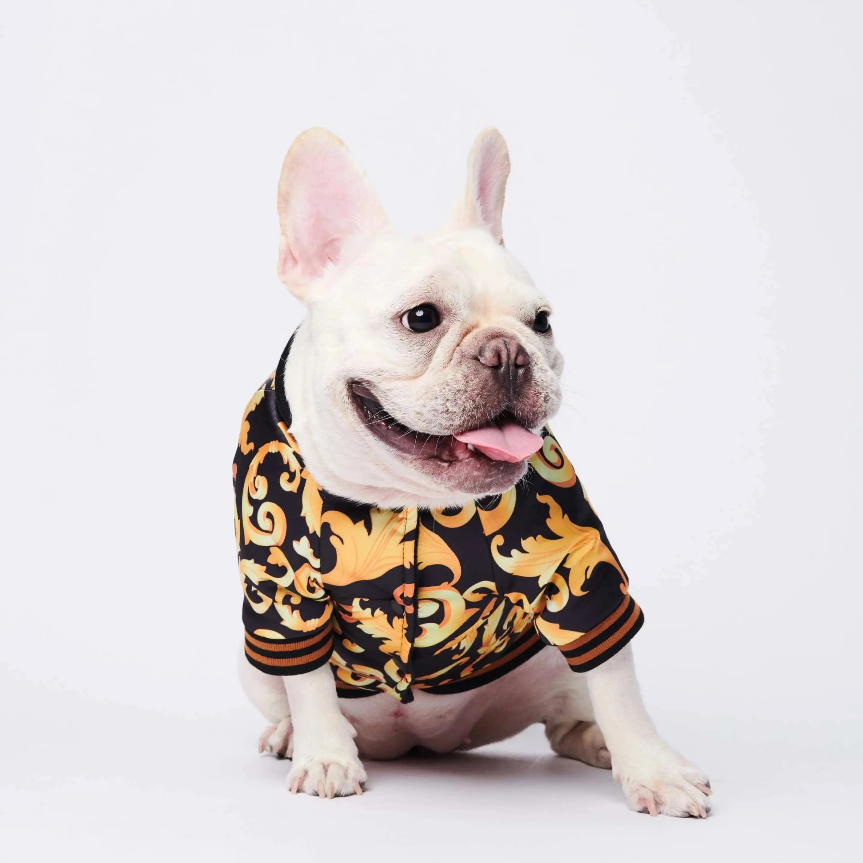 Roupas de luxo para animais, jaqueta de patchwork, logotipo popular de marca famosa, traje esportivo de pelúcia