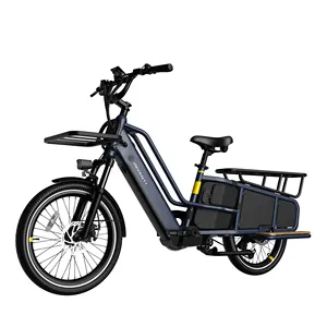 Электрический грузовой велосипед с 2 колесами, 1000 Вт