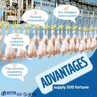 Usine de Transformation Avicole Automatique Grande et Moyenne Abattoir Adapté Ligne de Machines d'Abattage de Poulets, à Haute Production