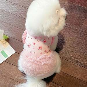 Petit XS Taille Chien INS Danse Jupe Robe Floral Maille Couche Chiot Teddy Manteau Accessoire pour Anniversaire Noël Solide Pet Vêtements - Product Image 2