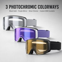 Lunettes de ski photochromiques personnalisées pour adultes en PC, anti-buée, UV400, 3 coloris, vente en gros OEM, équipement d'hiver