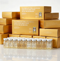 OEM/ODM Ampul Mikrobiom Pencerah Vitamin C E Asam Hialuronat Antioksidan Perawatan Noda Hitam untuk Wajah (0.23)