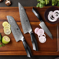 Pisau Koki Dapur Baja Damaskus, Set Pisau Koki Dapur Profesional 3 Pcs 67 Lapisan Jepang dengan Pegangan Premium G10