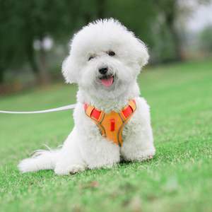 Harnais pour chien Outdoor Adventure <span class=keywords><strong>Gilet</strong></span> réfléchissant pour chien avec fixation de laisse - Product Image 4