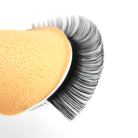 VAVALash Extensions de Cils en Plateaux 0.05 0.07 0.10 0.15 Courbe C/D Volume Individuel pour Extensions de Cils Vente en Gros