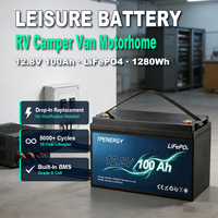 Batterie au phosphate de fer et de lithium TPENERGY 12,8 V 100 Ah, 5000 cycles, cellules de qualité A, hors réseau, solaire, camping-car, marine
