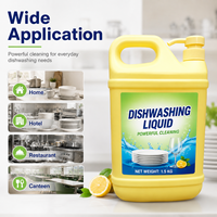 Liquide vaisselle ménager jetable OEM écologique, antibactérien, multi-usages, formule sûre, parfum citron gingembre