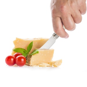 Couteau à beurre <span class=keywords><strong>Laguiole</strong></span> en acier inoxydable avec manche en plastique blanc, spatule à beurre multifonctionnelle, épandeur de confiture, trancheur à gâteau, trancheur à <span class=keywords><strong>fromage</strong></span> - Product Image 5