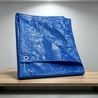 Bâche en tissu maillé tissé PE enduit bleu imperméable de haute qualité fabriquée en Chine