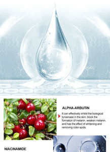 Sérum Visage Liquide Éclaircissant Avancé 7 Jours avec Alpha-Arbutine pour un Teint Lumineux et <span class=keywords><strong>Anti</strong></span>-Taches Brunes - Product Image 4