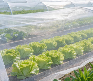 Filet anti-insectes robuste et respirant à mailles fines pour la <span class=keywords><strong>protection</strong></span> des serres, jardins, fermes, légumes et fleurs - Product Image 4