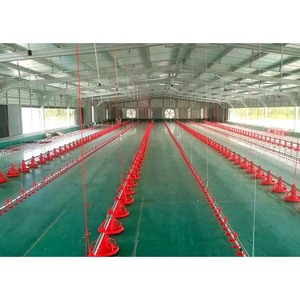 Kanatlı Yetiştirme Çiftliği Tavuk Ördek ve Kaz Yem Sistemi Hayvan Kafesleri için Otomatik Taşıma Besleme Tepsisi - Product Image 3
