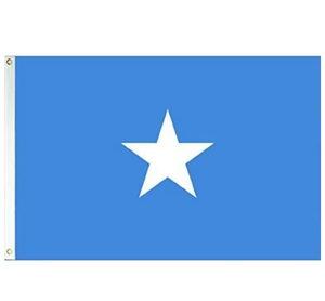 Bandera de Sierra Leona 3x5 pies, poliéster 100D, resistente a la decoloración, colores vivos, bandera nacional personalizable con dos ojales de latón para interiores - Product Image 2