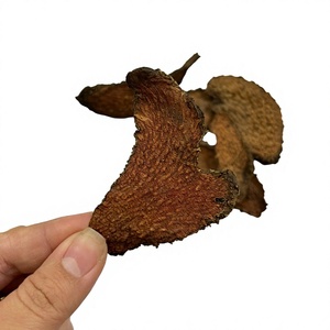 Tranches de racine d'Acanthopanax trifoliatus (Eleutherococcus trifoliatus) sauvages, matière première botanique Ngu Gia Bi Gai du Vietnam - Product Image 1