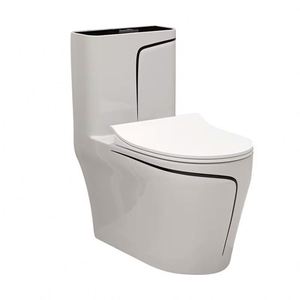 WC à siphon horizontal pour le Moyen-Orient et l'Afrique, WC monobloc en céramique colorée, à poser au sol ou suspendu, à double chasse - Product Image 3