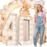 Numéro lumineux LED 4FT blanc chaud facile à assembler, durable, pour anniversaire (chiffre 40)