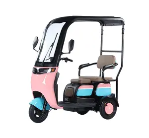 HIGYM STEEL MAN elektrisches Dreirad für Beifahrers itz mit Rückenlehne Tuktuk Cargo Dreirad Chassis