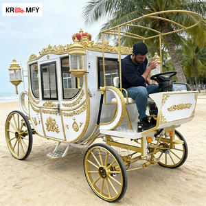 Carruaje de Lujo Eléctrico con Caballos para Bodas, Tipo Real, para 4-6 Personas - Product Image 6