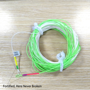 สายเอ็นตกปลา100FT WF2 3 4 5 6 7 8 9สายเอ็นตกปลาบินเสริมน้ำหนักแม่น้ำสายเอ็นตกปลาบินไปข้างหน้าดีไซน์ใหม่2025 - Product Image 3