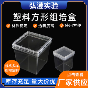 Plastic Square Tissue Culture Bottle With Lid Large 120x120x120 Reusable For Lab Use - Product Image 5