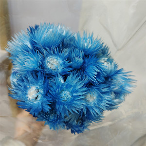 Bouquet de fleurs de lotus des neiges séchées faites à la main, fleurs de roche, décoration chinoise pour maisons et maisons d'hôtes, arrangements floraux de marguerites, fleurs naturelles pour la photographie - Product Image 3