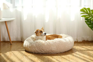 <span class=keywords><strong>Ebay</strong></span> Hot Sale Haustier Hund Donut Bett Sofa Luxus umwelt freundliche Anti-Angst Beruhigende Donut Cuddler Fluffy Pet <span class=keywords><strong>Cat</strong></span> Hunde betten - Product Image 6