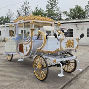 Carruaje Eléctrico de Hierro de Lujo <span class=keywords><strong>para</strong></span> Bodas y Negocios de <span class=keywords><strong>Alquiler</strong></span> Turístico - Product Image 3