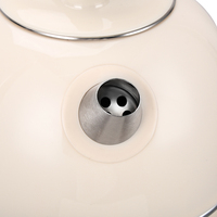 Bouilloire en acier inoxydable 1000W, technologie d'ébullition rapide, design ergonomique, sans BPA, caractéristiques de sécurité et détails chromés élégants