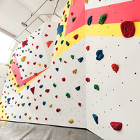 Mur d'escalade intérieur/extérieur résistant aux intempéries, mur d'escalade pour jeux de parc