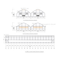 Conception de serres tunnel : Solutions personnalisées pour les problèmes climatiques et structurels