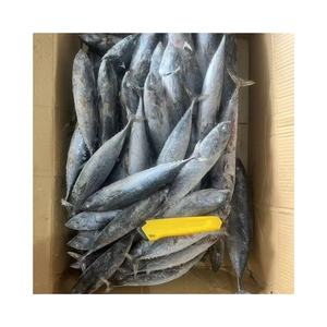 מחיר טוב סין מקור קפוא <span class=keywords><strong>bonito</strong></span> כל סיבוב - Product Image 6