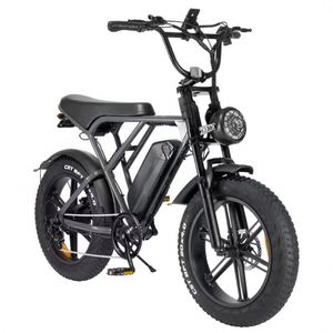 H9 Electric Bicycle 1000w with Pedal Assist System Retro 250w Fat Tire Electric Dirt Bike 48v Ebike Mountain H9 for USA EU