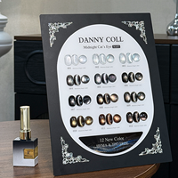 DANNYCOLL – Kit de vernis gel œil de chat 12 couleurs, marque privée, vente en gros, qualité salon, vernis à ongles gel œil de chat pour nail art, logo personnalisé