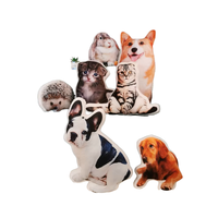 Coussin personnalisé en peluche irrégulière en forme de chien avec motifs chat et chien, matelassé, pour la rentrée scolaire, décoration intérieure, cadeau