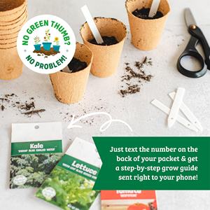 Ensemble de 5 variétés de kits de légumes biologiques en promotion, idéaux pour la culture de légumes en pot ou en <span class=keywords><strong>potager</strong></span> extérieur - Product Image 3