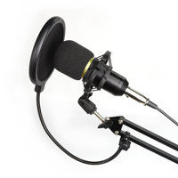 Microfono a Condensatore USB Professionale per Registrazione PC, Gaming, Canto, YouTube e Streaming Live