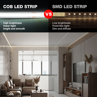 Bande lumineuse LED COB de haute qualité pour l'intérieur et l'extérieur, blanche, RGB, flexible, dimmable, 10W/M, télécommande USB, 468 LED/M, 220V